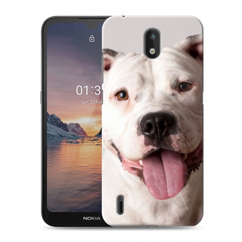 Дизайнерский силиконовый чехол для Nokia 1.3 Собаки