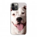Дизайнерский силиконовый чехол для Iphone 12 Pro Max Собаки