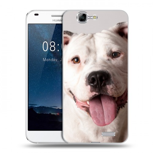 Дизайнерский пластиковый чехол для Huawei Ascend G7 Собаки