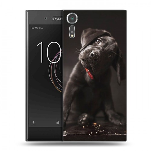 Дизайнерский пластиковый чехол для Sony Xperia XZs Щенки