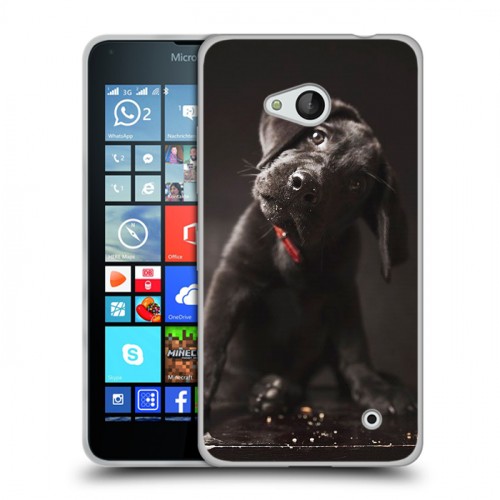 Дизайнерский пластиковый чехол для Microsoft Lumia 640 Щенки