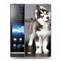 Дизайнерский пластиковый чехол для Sony Xperia S Щенки