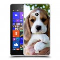 Дизайнерский пластиковый чехол для Microsoft Lumia 540 Щенки