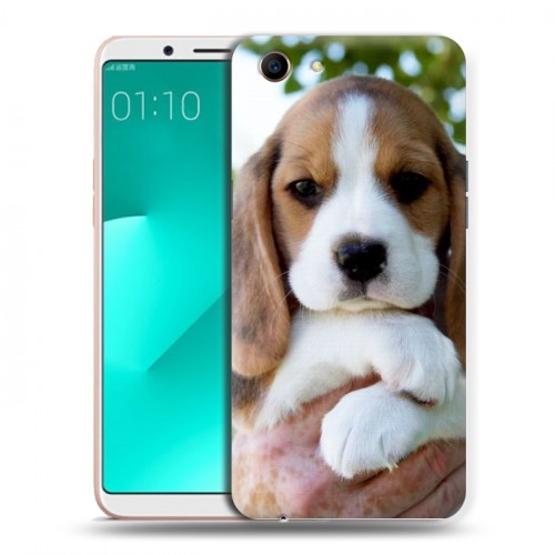 Дизайнерский пластиковый чехол для OPPO A83 Щенки