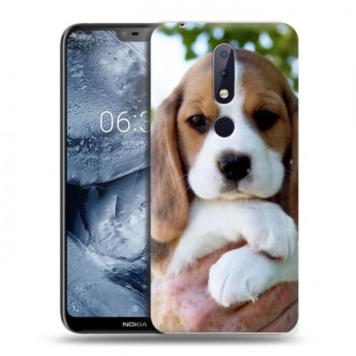 Дизайнерский пластиковый чехол для Nokia 6.1 Plus Щенки