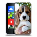 Дизайнерский пластиковый чехол для Nokia Lumia 620 Щенки