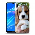 Дизайнерский пластиковый чехол для Huawei Y6 (2019) Щенки