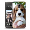 Дизайнерский пластиковый чехол для HTC Desire 700 Щенки