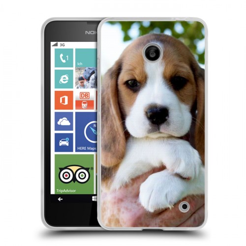 Дизайнерский пластиковый чехол для Nokia Lumia 630/635 Щенки