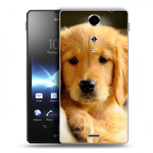 Дизайнерский пластиковый чехол для Sony Xperia TX Щенки