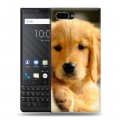 Дизайнерский пластиковый чехол для BlackBerry KEY2 Щенки