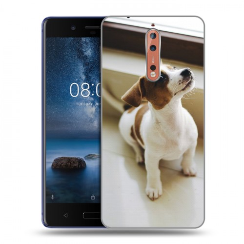 Дизайнерский пластиковый чехол для Nokia 8 Щенки