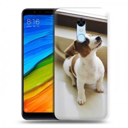 Дизайнерский пластиковый чехол для Xiaomi RedMi 5 Plus Щенки