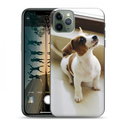 Дизайнерский пластиковый чехол для Iphone 11 Pro Max Щенки