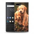 Дизайнерский пластиковый чехол для BlackBerry KEY2 Щенки