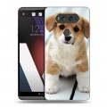 Дизайнерский пластиковый чехол для LG V20 Щенки