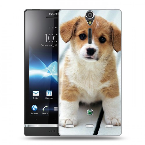 Дизайнерский пластиковый чехол для Sony Xperia S Щенки