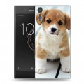 Дизайнерский пластиковый чехол для Sony Xperia XZs Щенки