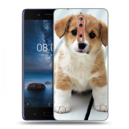 Дизайнерский пластиковый чехол для Nokia 8 Щенки