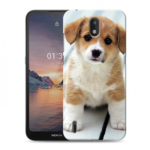 Дизайнерский силиконовый чехол для Nokia 1.3 Щенки