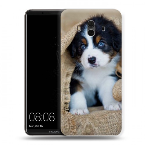 Дизайнерский пластиковый чехол для Huawei Mate 10 Щенки