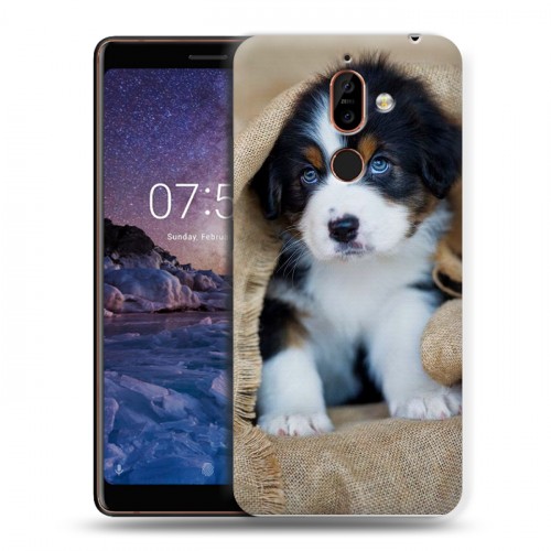 Дизайнерский пластиковый чехол для Nokia 7 Plus Щенки