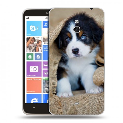 Дизайнерский пластиковый чехол для Nokia Lumia 1320 Щенки