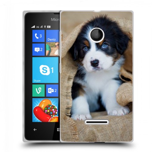 Дизайнерский пластиковый чехол для Microsoft Lumia 435 Щенки