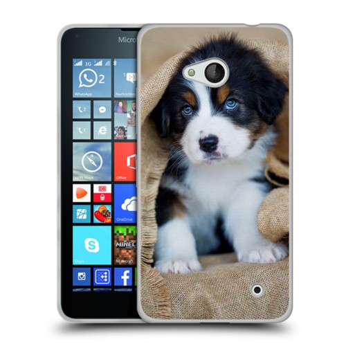 Дизайнерский пластиковый чехол для Microsoft Lumia 640 Щенки