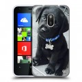 Дизайнерский пластиковый чехол для Nokia Lumia 620 Щенки