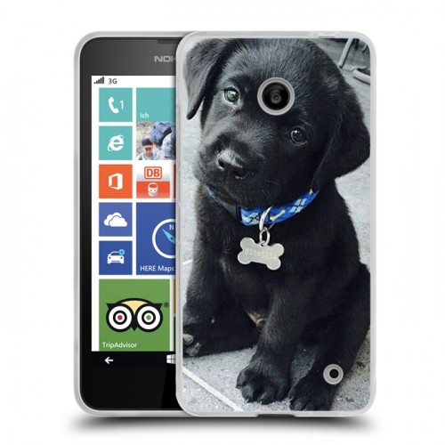 Дизайнерский пластиковый чехол для Nokia Lumia 630/635 Щенки