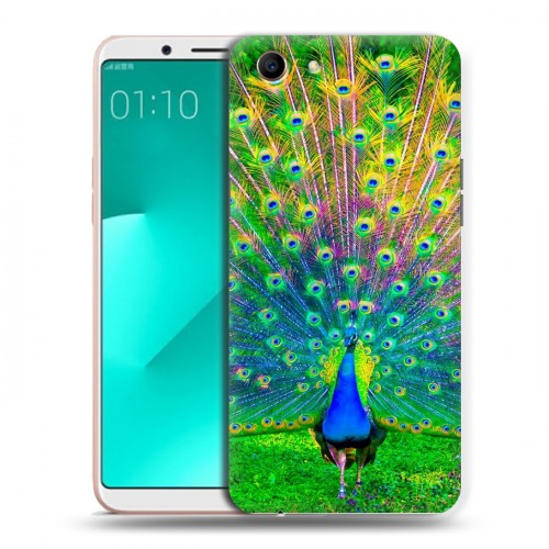 Дизайнерский пластиковый чехол для OPPO A83 Павлины