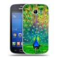 Дизайнерский пластиковый чехол для Samsung Galaxy Trend Lite Павлины