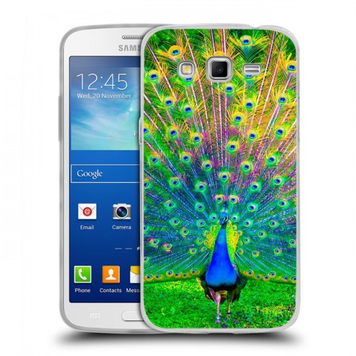 Дизайнерский пластиковый чехол для Samsung Galaxy Grand 2 Павлины