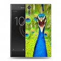 Дизайнерский пластиковый чехол для Sony Xperia XZs Павлины