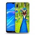 Дизайнерский пластиковый чехол для Huawei Y6 (2019) Павлины