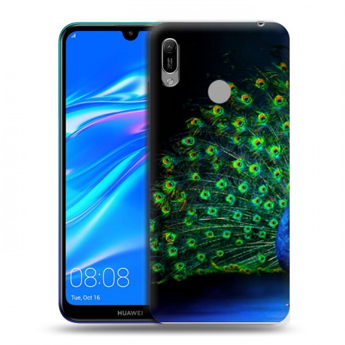 Дизайнерский пластиковый чехол для Huawei Y6 (2019) Павлины