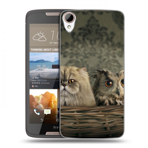 Дизайнерский пластиковый чехол для HTC Desire 828 Совы