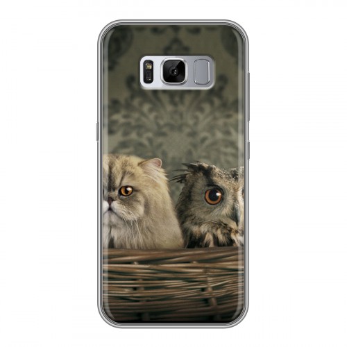 Дизайнерский силиконовый чехол для Samsung Galaxy S8 Plus Совы