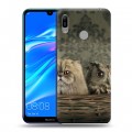 Дизайнерский пластиковый чехол для Huawei Y6 (2019) Совы