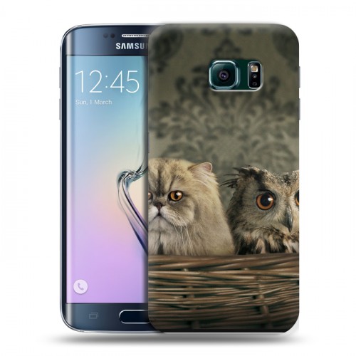 Дизайнерский пластиковый чехол для Samsung Galaxy S6 Edge Совы