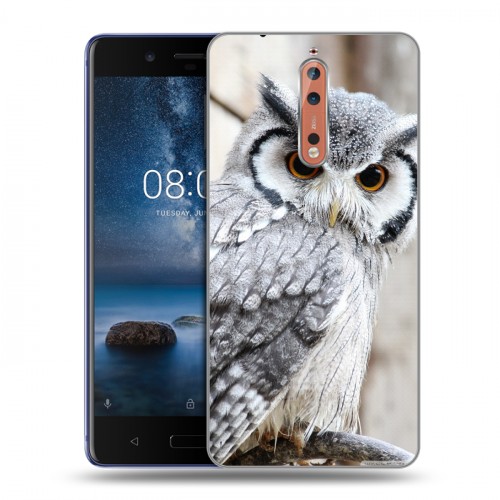 Дизайнерский пластиковый чехол для Nokia 8 Совы