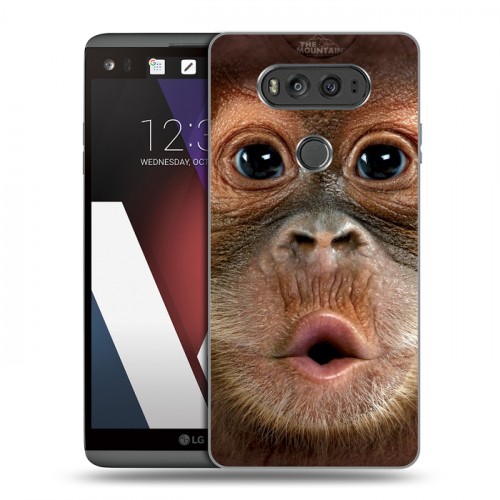 Дизайнерский пластиковый чехол для LG V20 Обезьяны