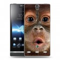 Дизайнерский пластиковый чехол для Sony Xperia S Обезьяны