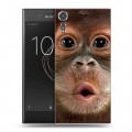 Дизайнерский пластиковый чехол для Sony Xperia XZs Обезьяны