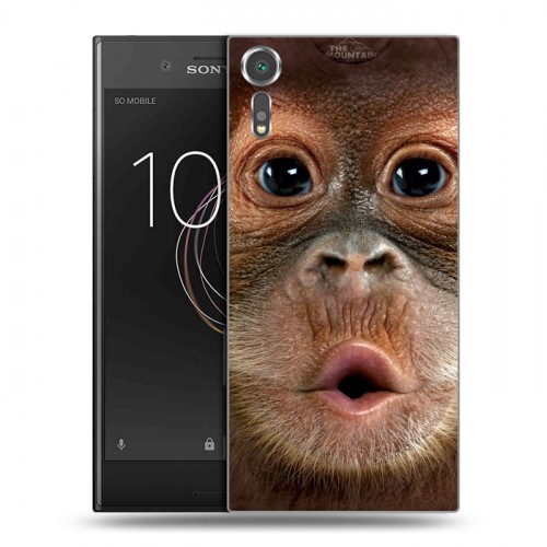 Дизайнерский пластиковый чехол для Sony Xperia XZs Обезьяны