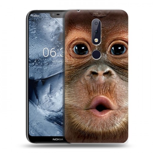 Дизайнерский пластиковый чехол для Nokia 6.1 Plus Обезьяны