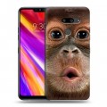 Дизайнерский пластиковый чехол для LG G8 ThinQ Обезьяны