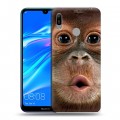 Дизайнерский пластиковый чехол для Huawei Y6 (2019) Обезьяны