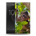 Дизайнерский пластиковый чехол для Sony Xperia XZs Обезьяны